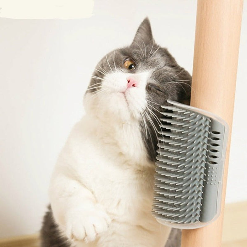 2-Piece Pet Self-Grooming Brush Set