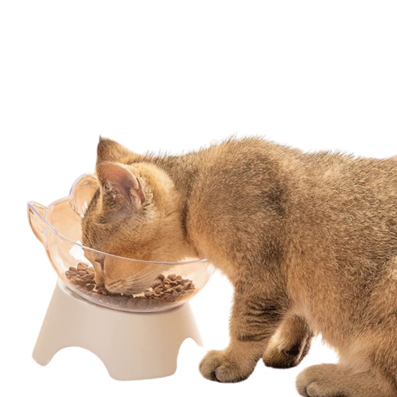 Pet Raised Feeder Bowl